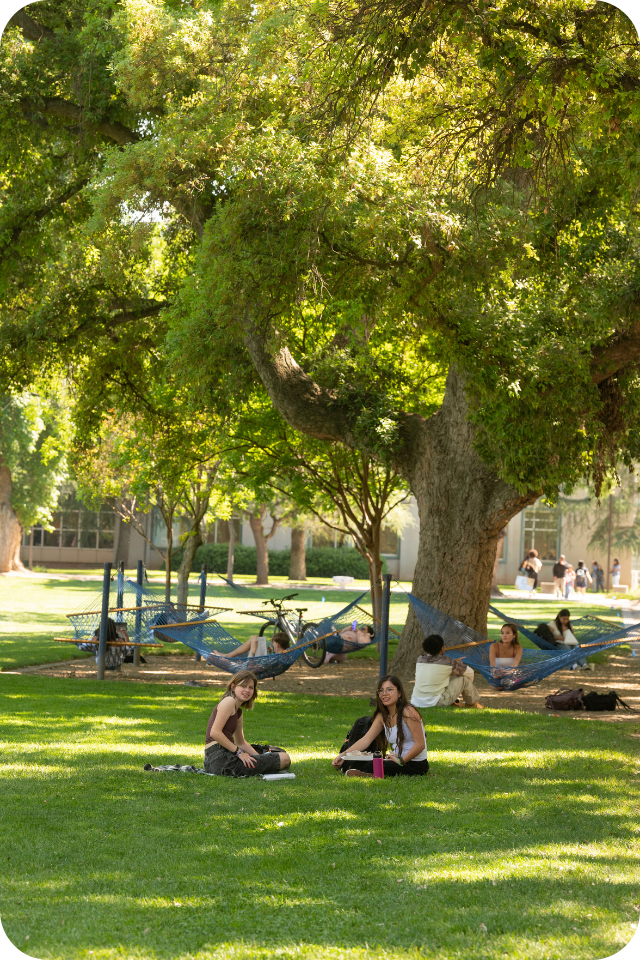 People relaxing under a large shaded tree on a green lawn
