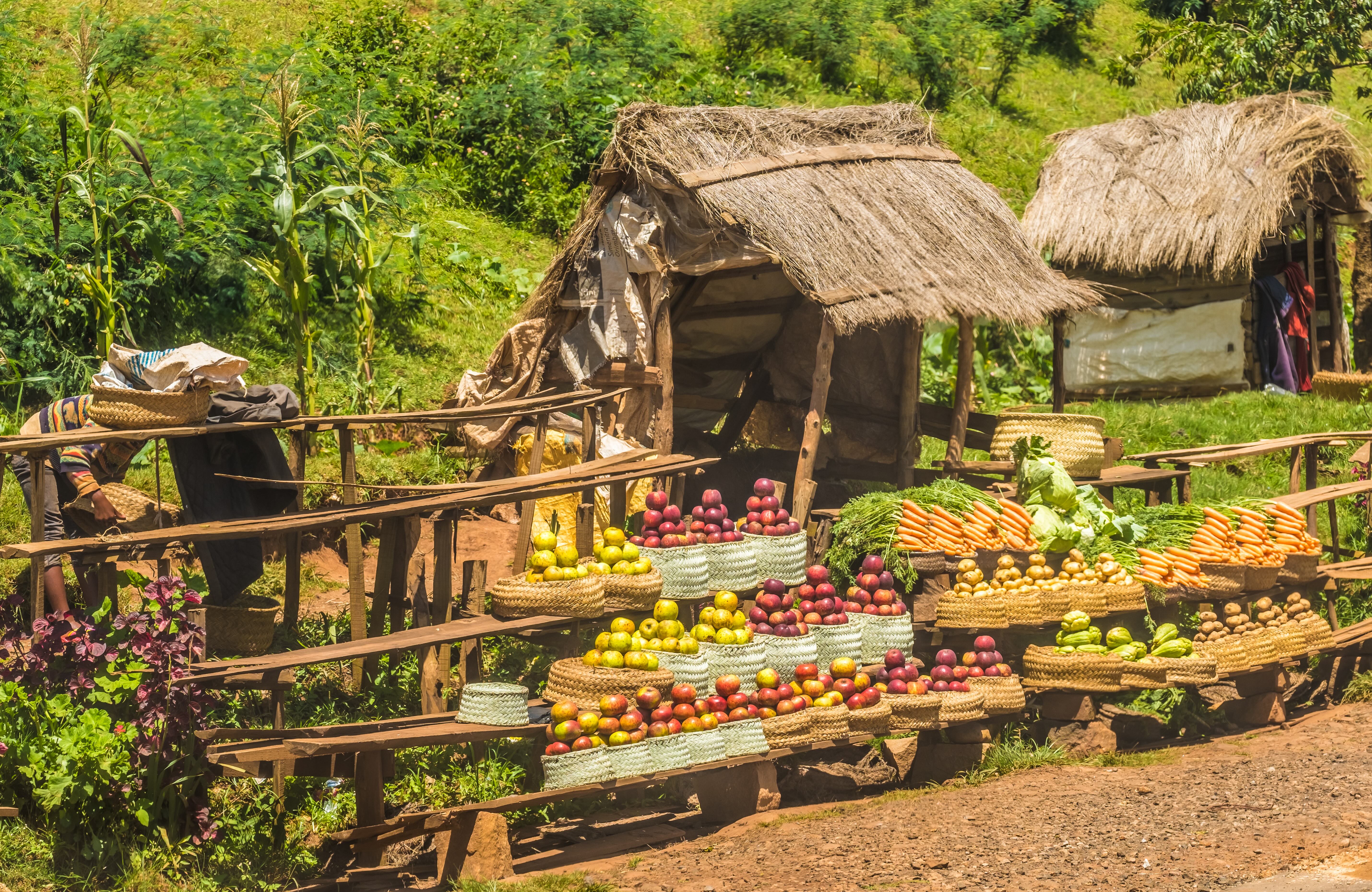 Fruit stand with colorful produce in front of thatched huts, surrounded by greenery.