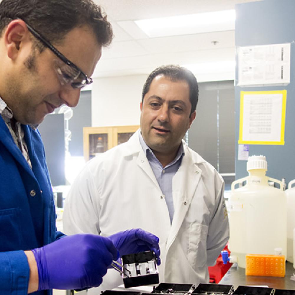 Dr Haj and Bettaieb