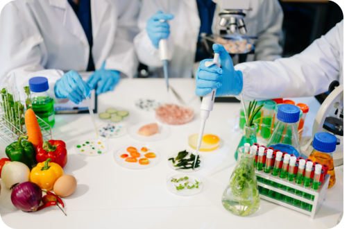 Researchers in lab coats and gloves testing fruits and vegetables with pipettes and test tubes