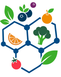 Graphic of hexagonal molecule featuring blueberry, orange, tomato, broccoli and leaves