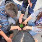 Kids planting a tree
