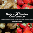 Nuts and Berries