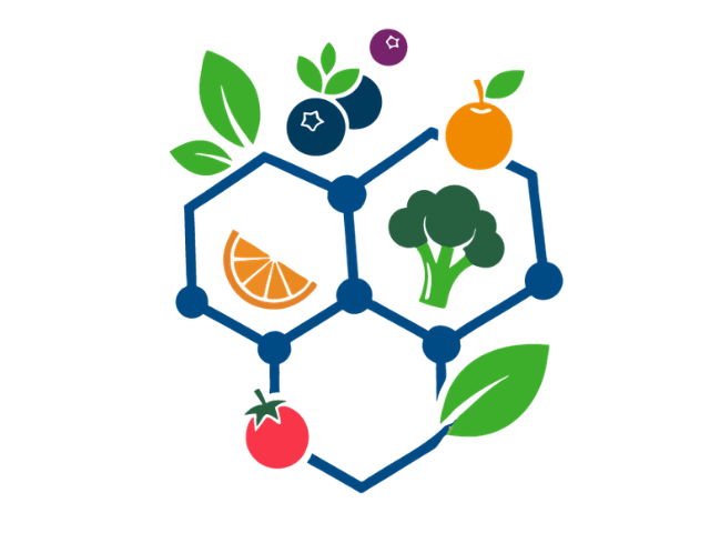 Graphic logo: hexagonal molecular shapes with orange slice, broccoli, tomato, berry, and leaves