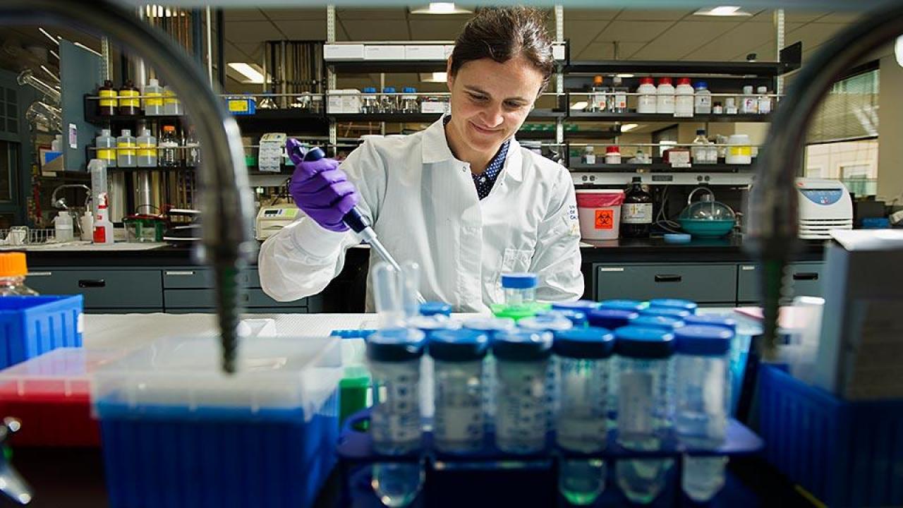 Dr. Zivkovic in the lab
