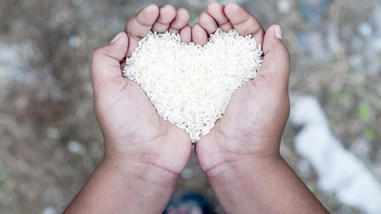 rice held in hands